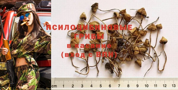 PSILOCYBIN Орск
