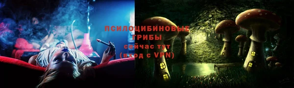 гидра Волосово