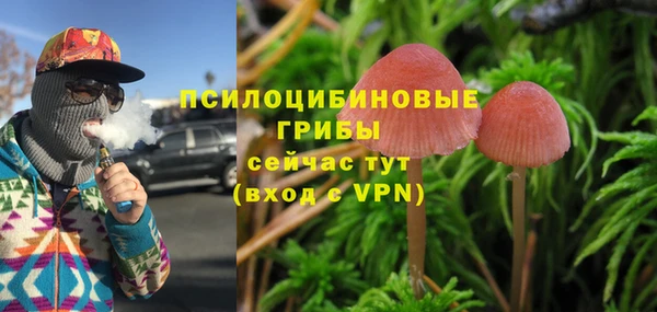 ПСИЛОЦИБИНОВЫЕ ГРИБЫ Волоколамск
